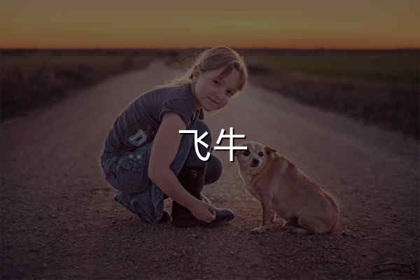 飞牛 fnOS - 免费 NAS 操作系统 - 官网预览