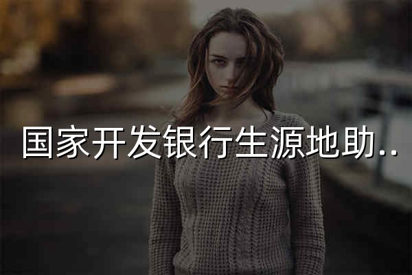 国家开发银行生源地助学贷款学生在线系统 - 官网预览
