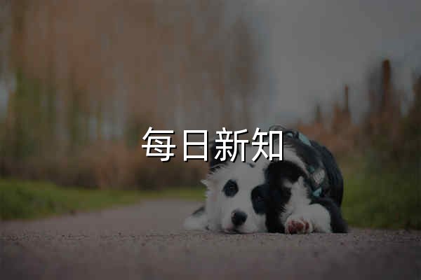 每日新知 - 每天认识一个新知识 - 官网预览
