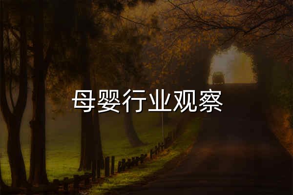 母婴行业观察 - 官网预览