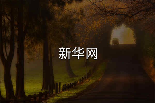 新华网_让新闻离你更近 - 官网预览