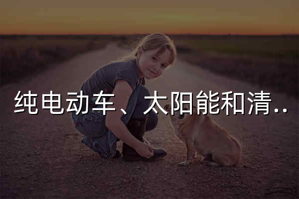 纯电动车、太阳能和清洁能源 | 特斯拉中国 - 官网预览