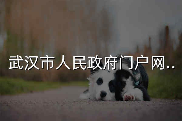 武汉市人民政府门户网站 - 官网预览