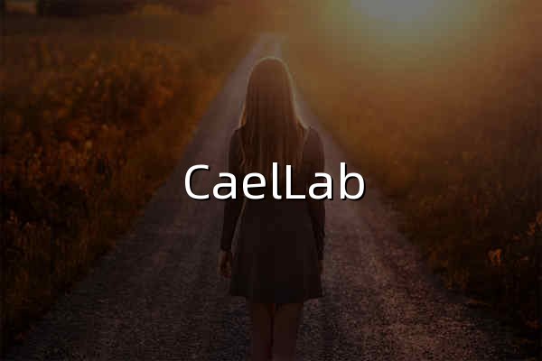 CaelLab Minecraft - 探索无限可能，体验纯粹乐趣。一个属于我们的小世界。 - 虚舟实验室 - 官网预览