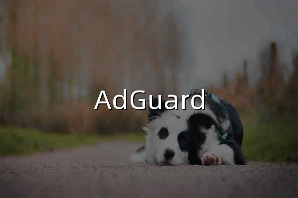 AdGuard 广告拦截程序：拦截广告、弹窗和追踪器 - 官网预览