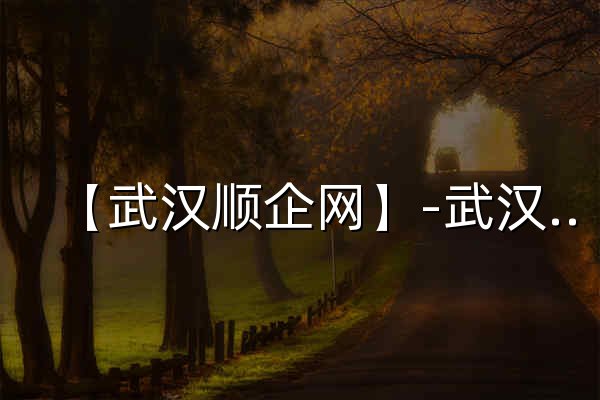 【武汉顺企网】-武汉厂家免费发布供求信息-武汉企业网 - 官网预览