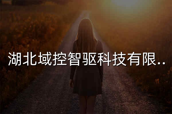 湖北域控智驱科技有限公司 - 官网预览