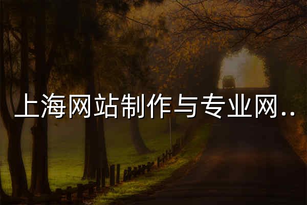 上海网站制作与专业网站建设 | 集成电路、半导体、新能源官网定制 — 维弗网络 - 官网预览