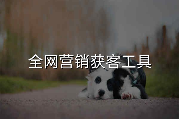全网营销获客工具 矩阵系统软件及企业微信SCRM系统 - 官网预览