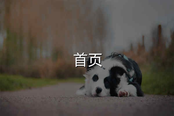 首页 | 上海证券交易所 - 官网预览