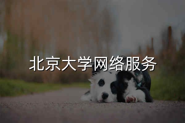 北京大学网络服务 - 首页 - 官网预览