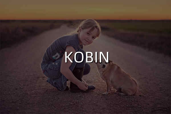 KOBIN 技术随笔 - 随便写点遇到过的问题 - 官网预览