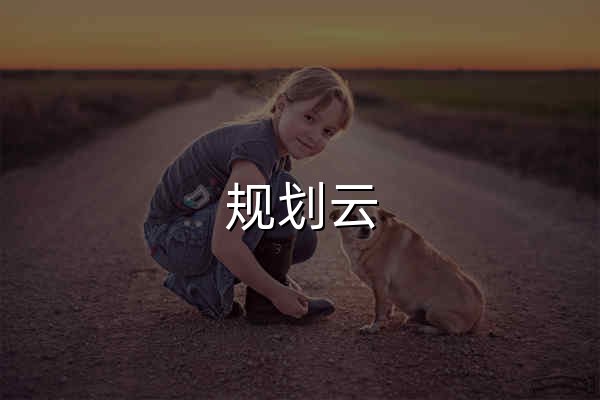 规划云 - 地图底图 | 分析图与底图工具 - 官网预览