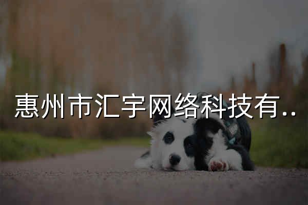 惠州市汇宇网络科技有限公司-惠州网站建设,惠州做网站,惠州建网站,,惠州网站设计,惠州企业网站建设 - 官网预览