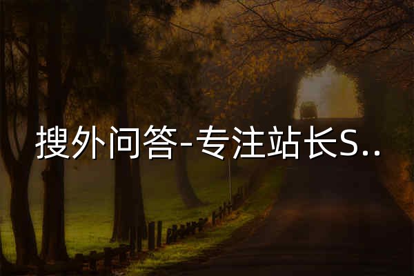 搜外问答-专注站长SEO交流、悬赏问答\网络营销问答平台。 - 官网预览