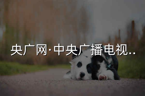 央广网·中央广播电视总台 - 官网预览