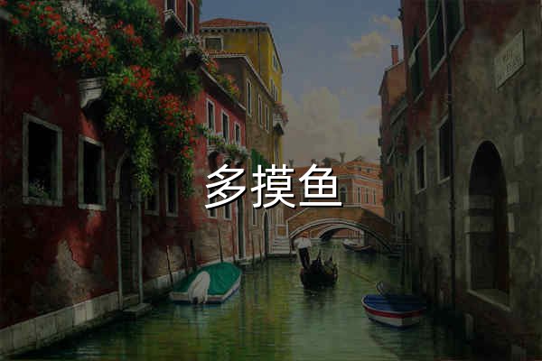 多摸鱼 - 全网资讯一站式浏览 - 官网预览
