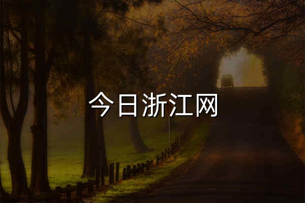 今日浙江网 - 官网预览