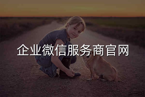 企业微信服务商官网 - 官网预览