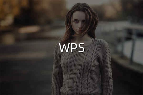 WPS Office 四合一办公套件官方正版免费下载 - 官网预览