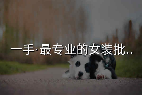 一手·最专业的女装批发平台 - 官网预览