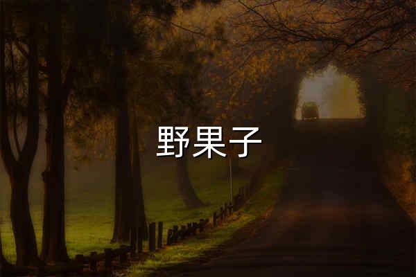 野果子 · 从电影里，找家的配色与灵感 - 官网预览