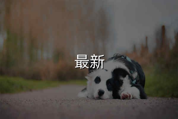 最新 | PlayStation™Store官方網 香港 - 官网预览