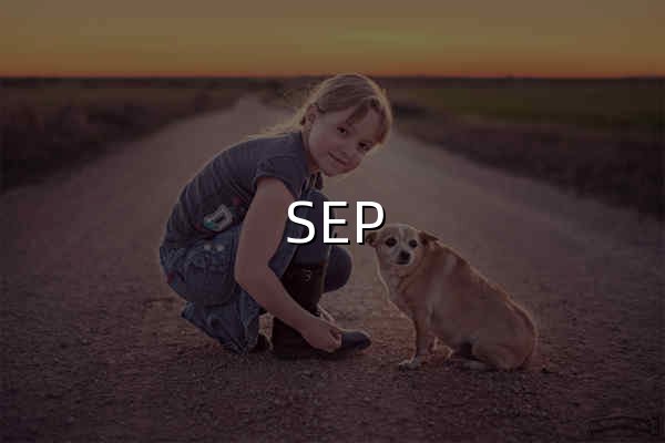 SEP 教育业务接入平台 - 官网预览
