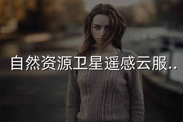 自然资源卫星遥感云服务平台 - 官网预览