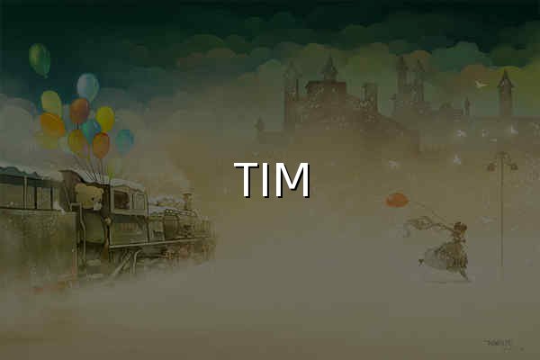 TIM - 官网预览