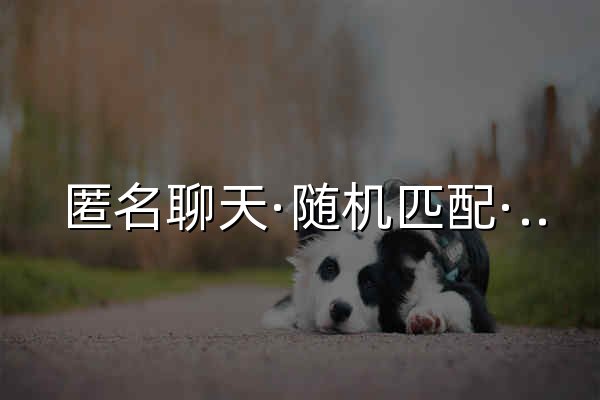 匿名聊天·随机匹配·树洞倾诉 - 和陌生人开始一段对话 - 遇见 - 官网预览