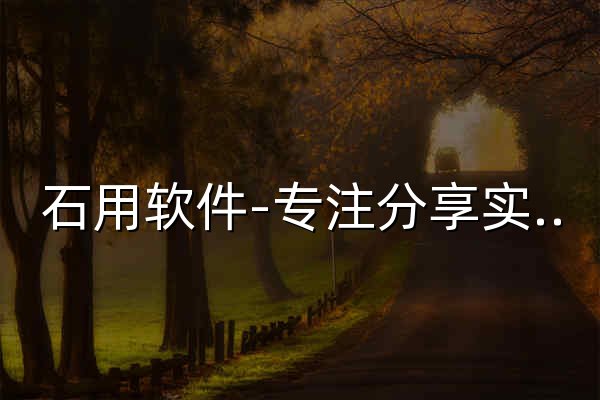 石用软件-专注分享实用软件 - 官网预览