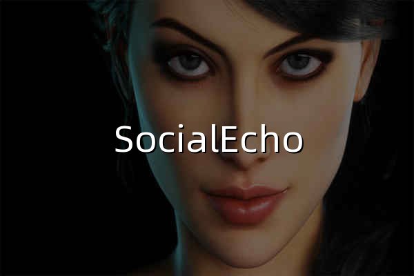 SocialEcho - 出海企业的全社媒AI工作台 - 官网预览