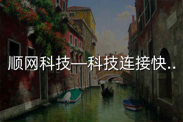 顺网科技—科技连接快乐 - 官网预览