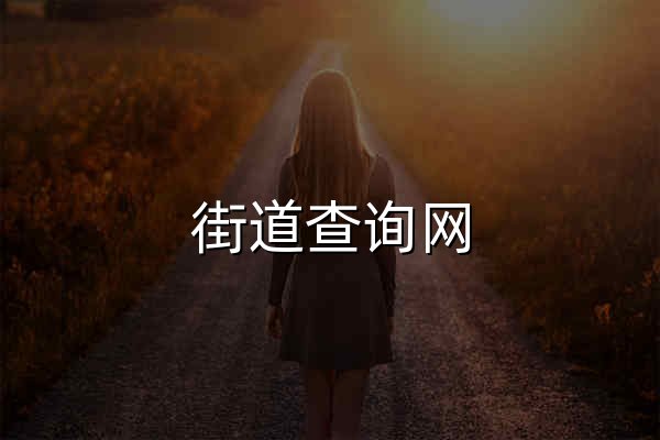 街道查询网 - 全国街道查询系统查街道归属 - 官网预览