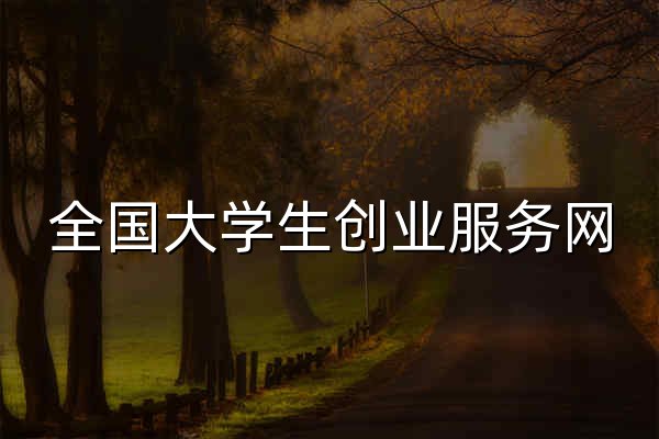 全国大学生创业服务网 - 官网预览