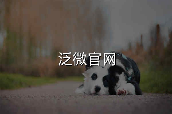 泛微官网_OA办公系统_协同管理_流程审批_信息门户 - 官网预览