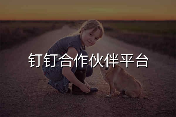 钉钉合作伙伴平台 - 官网预览