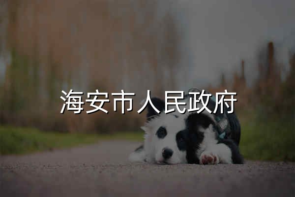 海安市人民政府 - 官网预览