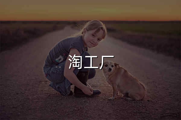 淘工厂 - 官网预览