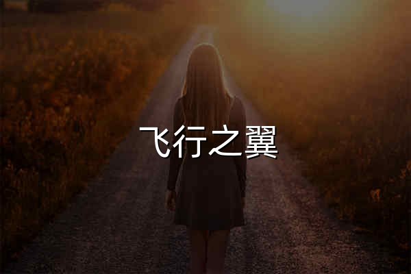 飞行之翼 - 飞行之翼-学飞行,就用飞行之翼 - 官网预览