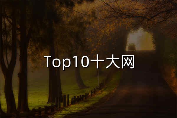 Top10十大网 - 热门前十大排行榜 - 官网预览