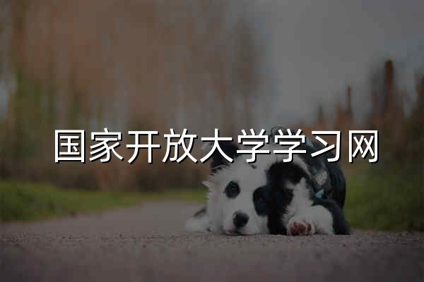 国家开放大学学习网 - 官网预览