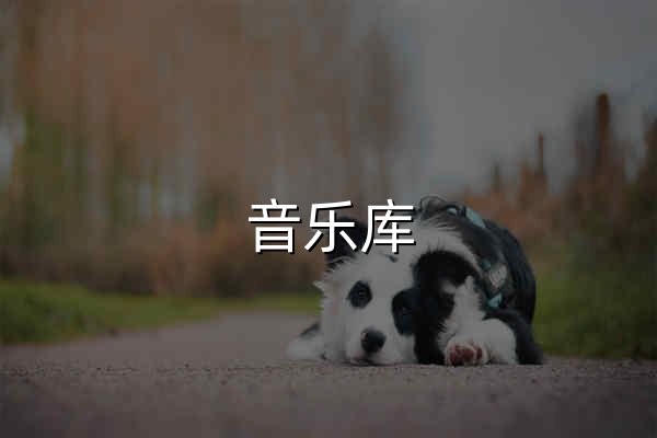 音乐库 - 官网预览