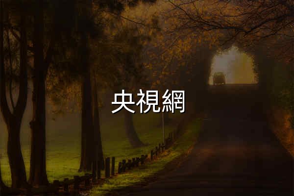 央視網_世界就在眼前 - 官网预览