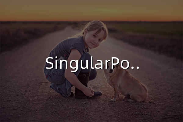 SingularPoint - 官网预览