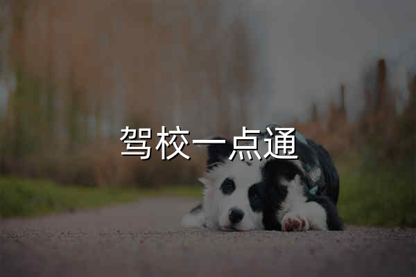 驾校一点通 - 考驾照 - 驾照考试 - 2026年驾校报名 - 科目一模拟考试 - 官网预览