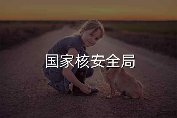 国家核安全局 - 官网预览