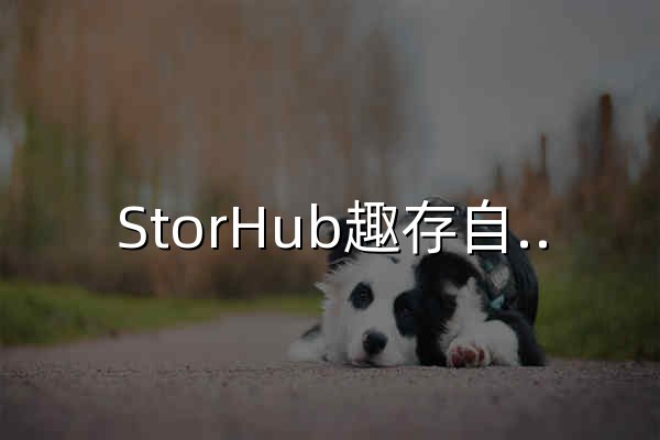 StorHub趣存自助仓 自助仓储服务 | 迷你仓出租 24小时存取 免押金免服务费 国际连锁品牌 自有物业 - 官网预览