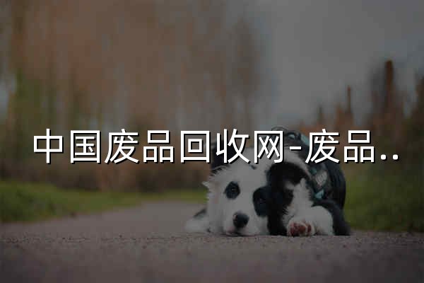 中国废品回收网-废品买卖-废旧物资交易-废品价格查询平台 - 官网预览